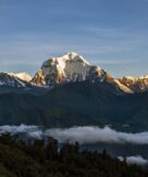 Amazing short poon hill trek in Nepal.