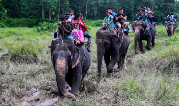 2 Nights 3 Days Chitwan Jungle Safari Tour
