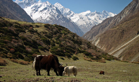 Tsum Valley Trek