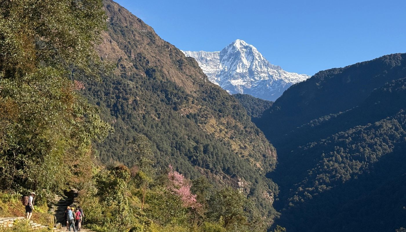 From Ulleri during Ghorepani Poon Hill Trek