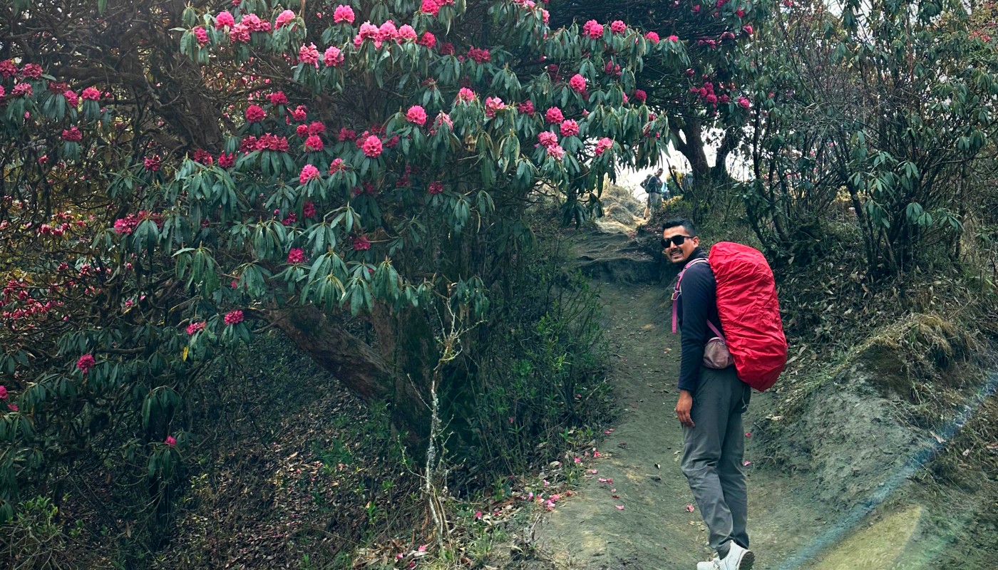 trekker on the way to ghandruk