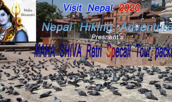 Maha Shivaratri Festival Tour
