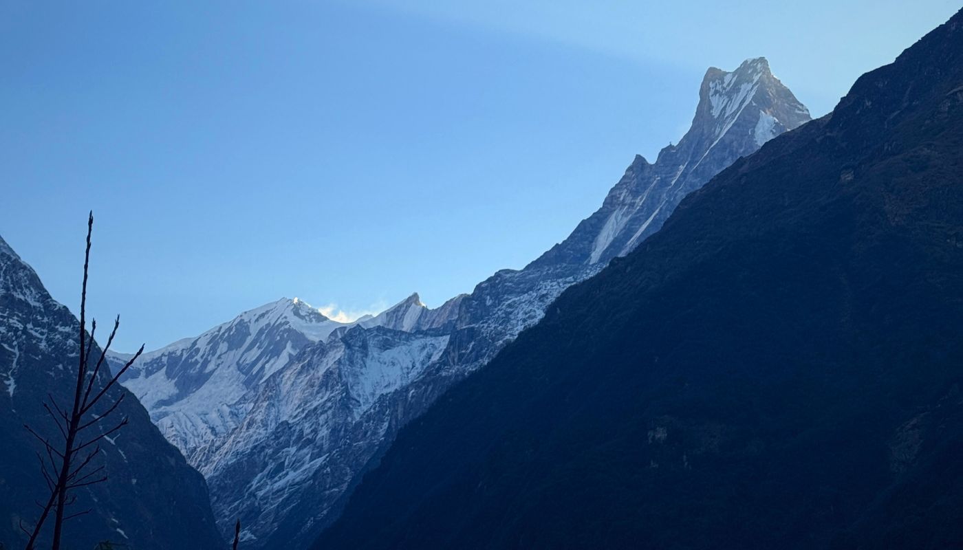 Mountain Fishtail seen during Annapurna Base Camp Trek