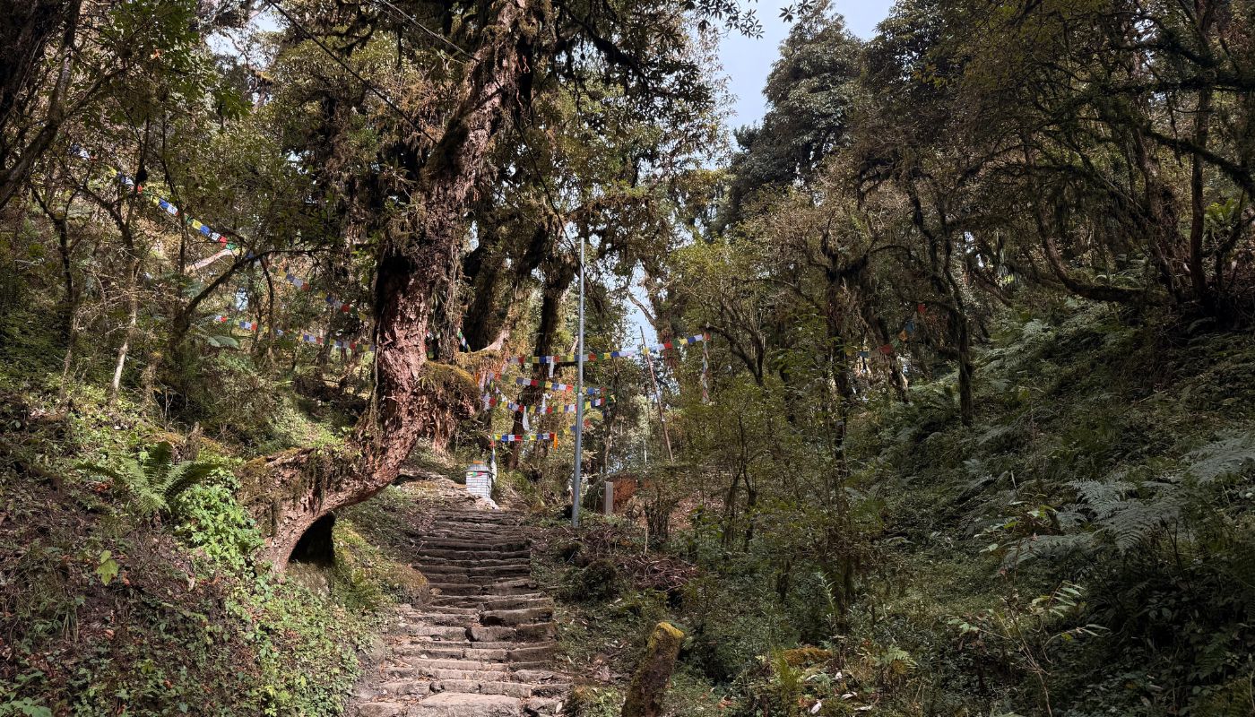 Annapurna Base Camp Trek 9 Days