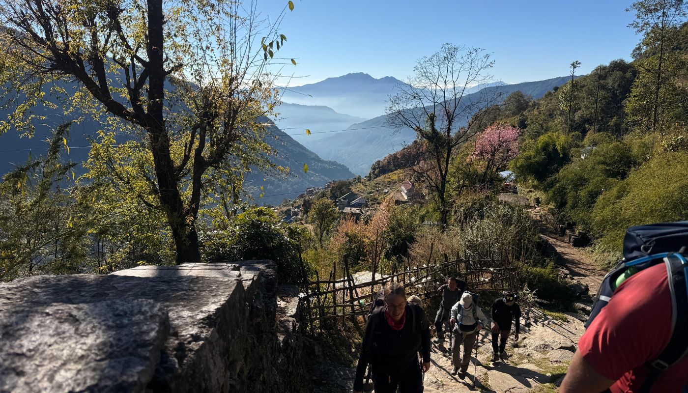 Ulleri to Banthanti on Annapurna Base Camp Trek