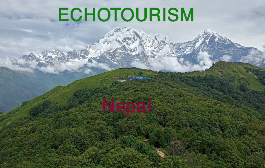 What is Echo Tourism?