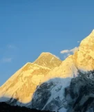 Company is highly recommended