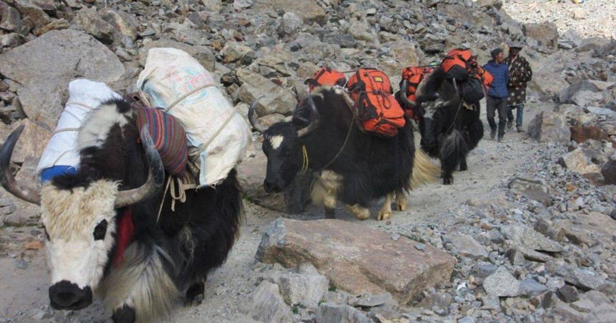 during the trekking to passes in mt kailash