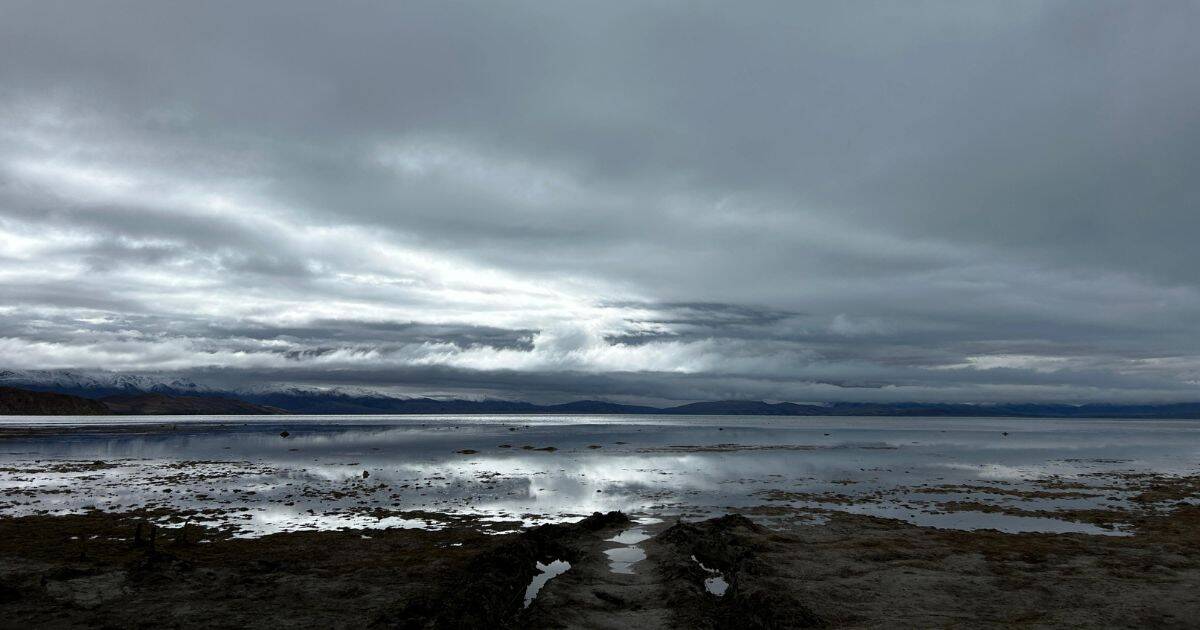 mansrovar lake 