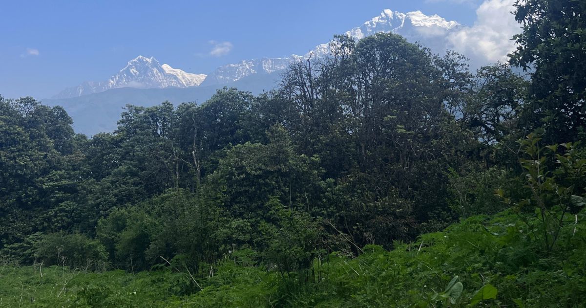 Wildlife and forest of ACA