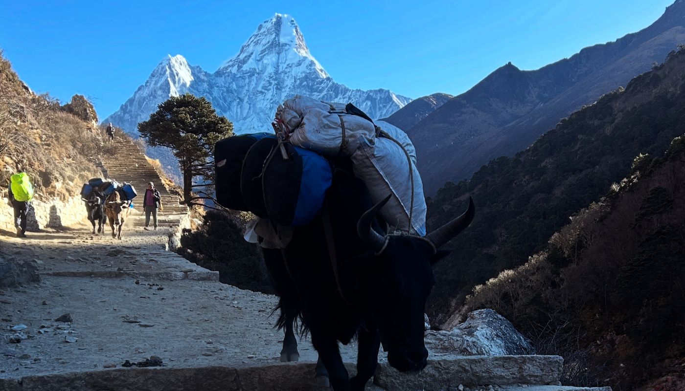Mt. amadablam 
